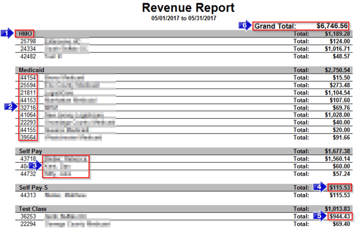 The Monthly Revenue Report